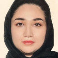 Mahsa Khatibi